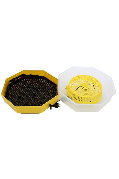 ertone Cleo 5D electric egg incubator with turning device, 41 eggs, 38°C incubation temperature