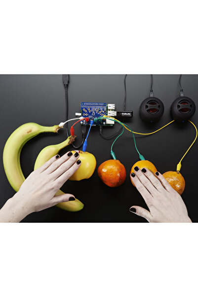 Adafruit Capacitive Touch HAT for Raspberry Pi - Mini Kit - MPR121