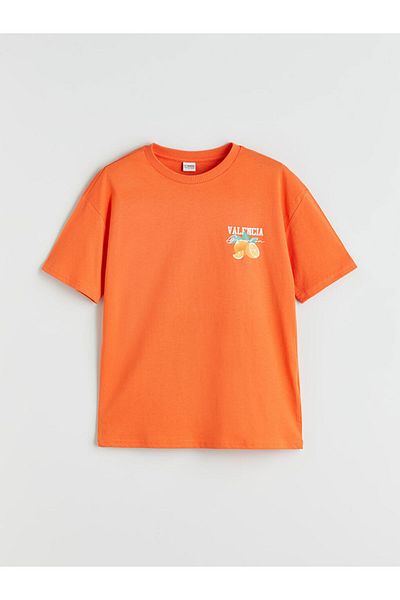 LC Waikiki Crew Neck Boy's T-Shirt