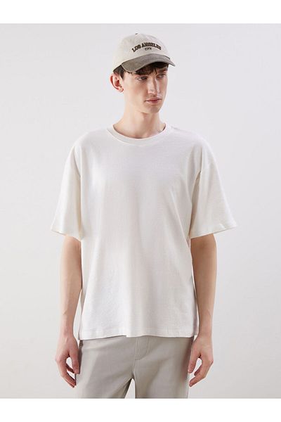 LC Waikiki Crew Neck Men's T-Shirt