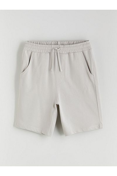 LC Waikiki Standard Fit Men's Shorts