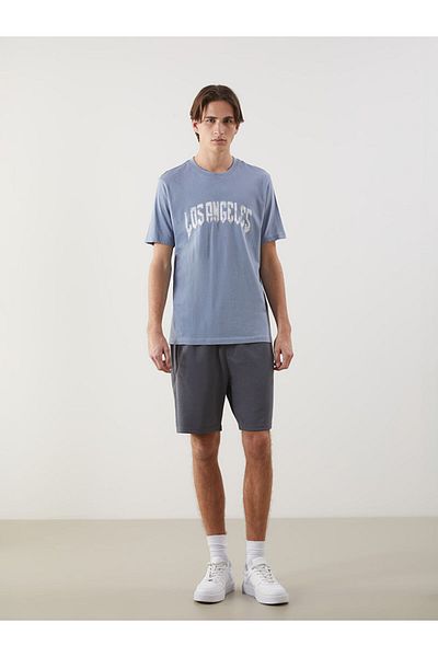 LC Waikiki Crew Neck Printed Men's T-Shirt