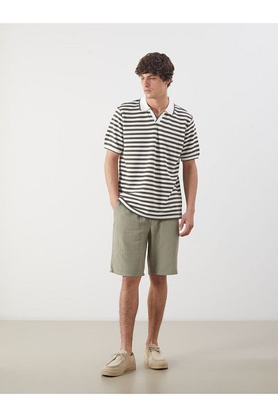 LC Waikiki Polo Neck Striped Men's T-Shirt