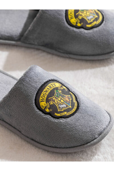 LC Waikiki Παντόφλες για το σπίτι για αγόρια Harry Potter με τύπωμα