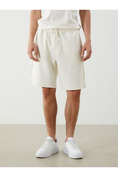 LC Waikiki Standard Fit Men's Shorts
