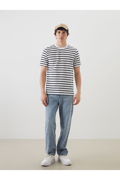 LC Waikiki Crew Neck Striped Men's T-Shirt