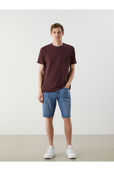 LC Waikiki Blue Crew Neck Plain Men's T-Shirt