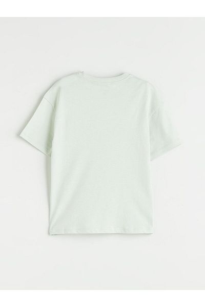 LC Waikiki Crew Neck Printed Boy's T-Shirt