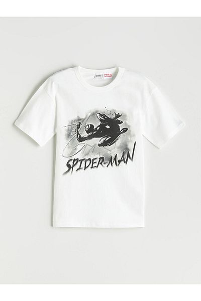 LC Waikiki Black Crew Neck Spider-Man Printed Boys' T-Shirt Pack of 2