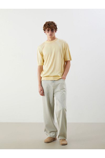 LC Waikiki Crew Neck Short Sleeve Men's Knitwear Sweater