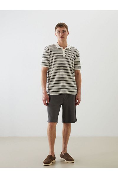 LC Waikiki Polo Neck Striped Men's T-Shirt