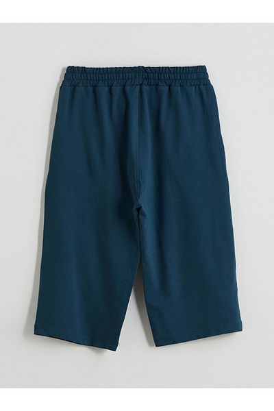 LC Waikiki Ανδρικό σορτς Standard Fit