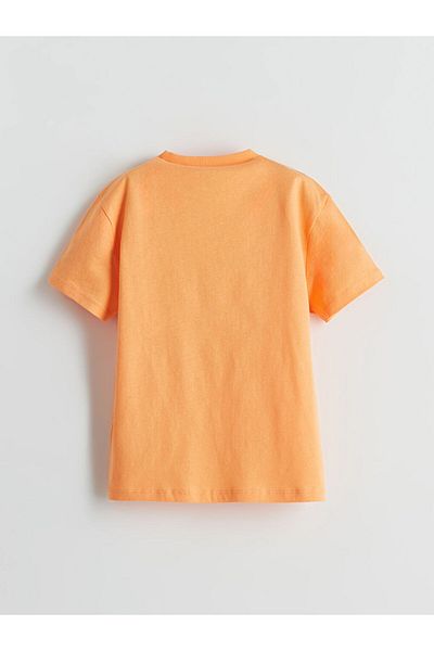 LC Waikiki Crew Neck Printed Boy's T-Shirt