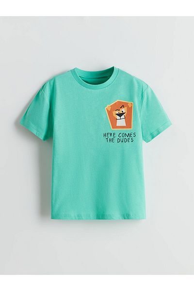 LC Waikiki Crew Neck Printed Boy's T-Shirt