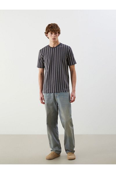 LC Waikiki Crew Neck Striped Men's T-Shirt
