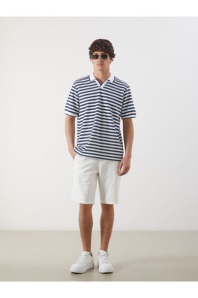 LC Waikiki Polo Neck Striped Men's T-Shirt