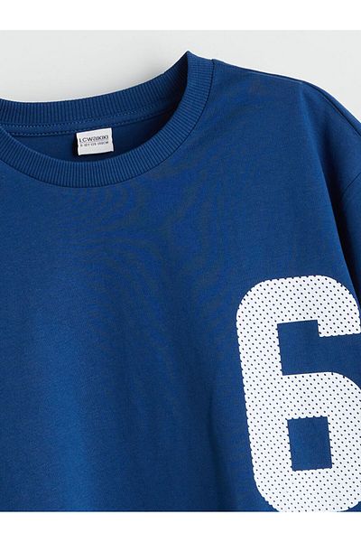 LC Waikiki Crew Neck Boy's T-Shirt