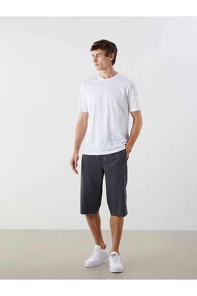 LC Waikiki Standard Fit Men's Shorts