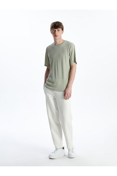 LC Waikiki Crew Neck Short Sleeve Striped Men's T-Shirt
