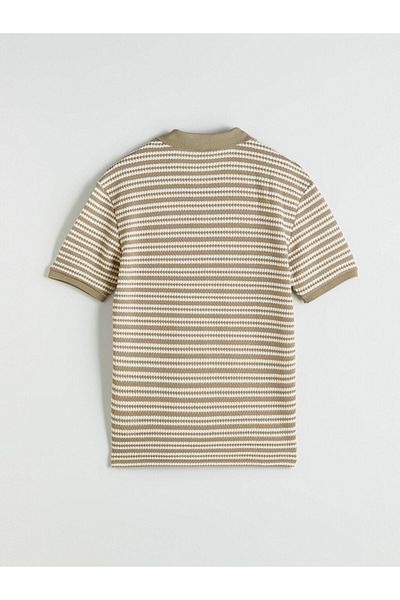 LC Waikiki Polo Neck Striped Men's T-Shirt