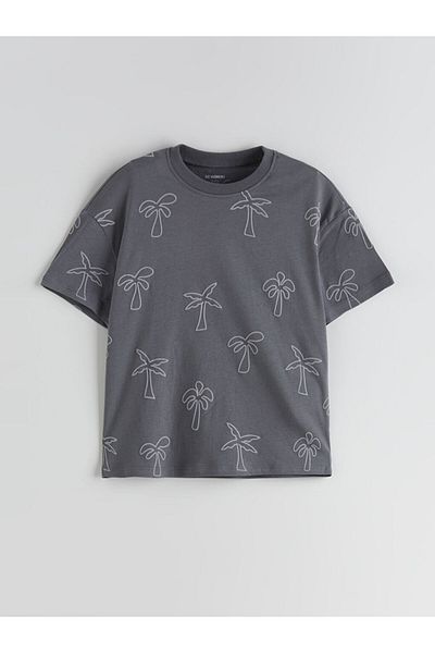 LC Waikiki Crew Neck Printed Boy's T-Shirt
