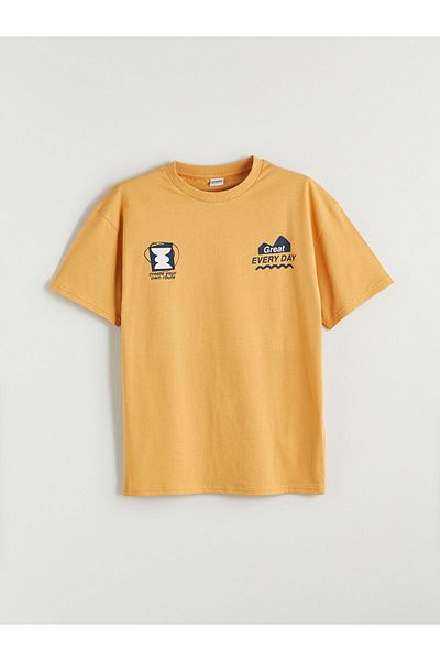 LC Waikiki Sari Crew Neck Boy's T-Shirt