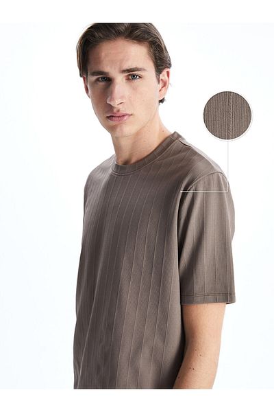 LC Waikiki Crew Neck Striped Men's Textured T-Shirt