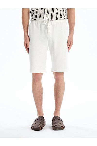 LC Waikiki New Season Standard Fit Men's Sort - S5H793Z8