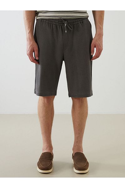 LC Waikiki Standard Fit Men's Shorts