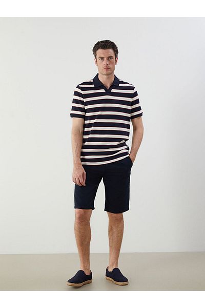 LC Waikiki Polo Neck Striped Men's T-Shirt