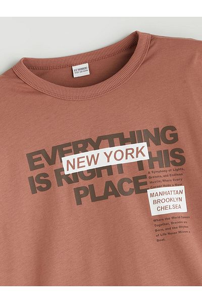 LC Waikiki Crew Neck Boy's T-Shirt