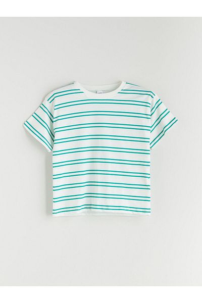 LC Waikiki Crew Neck Striped Boy T-Shirt