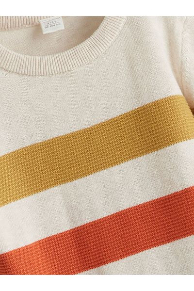 LC Waikiki Crew Neck Long Sleeve Baby Boy Knitwear Sweater