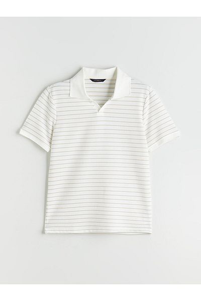 LC Waikiki Polo Neck Striped Men's T-Shirt