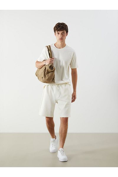 LC Waikiki Standard Fit Men's Shorts
