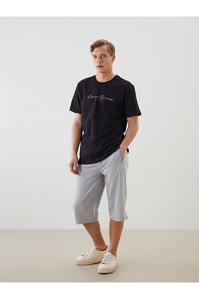 LC Waikiki Green Standard Fit Men's Shorts