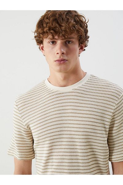LC Waikiki Crew Neck Striped Men's T-Shirt