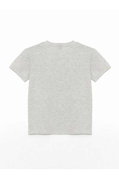 LC Waikiki New Season Crew Neck Men's T-Shirt - S5Hf28Z4