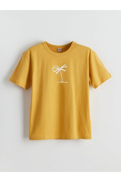 LC Waikiki Crew Neck Boy's T-Shirt