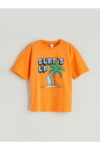 LC Waikiki Crew Neck Printed Boy's T-Shirt