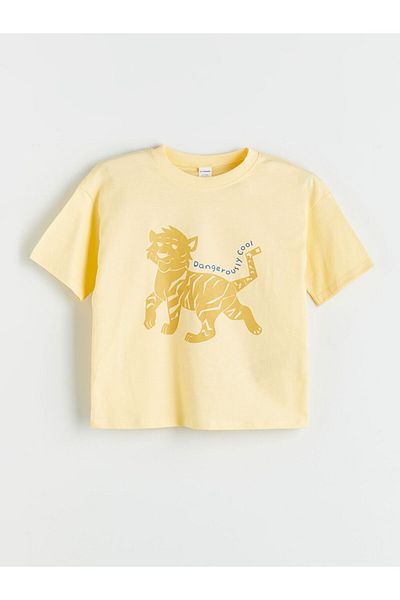 LC Waikiki Crew Neck Printed Boy's T-Shirt