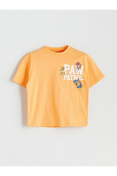 LC Waikiki Lcw Printed Boy's T-Shirt