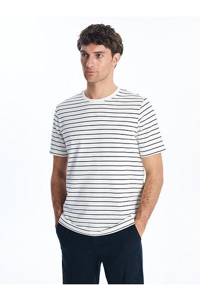 LC Waikiki Crew Neck Striped Men's T-Shirt