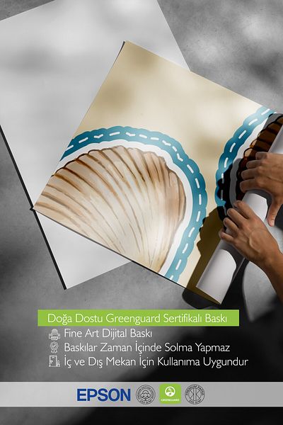 Postifull Poster de perete fără încadrare, scoici de mare, ilustrație, ilustrație simplă, bej, poster de culoare albastră, 2025