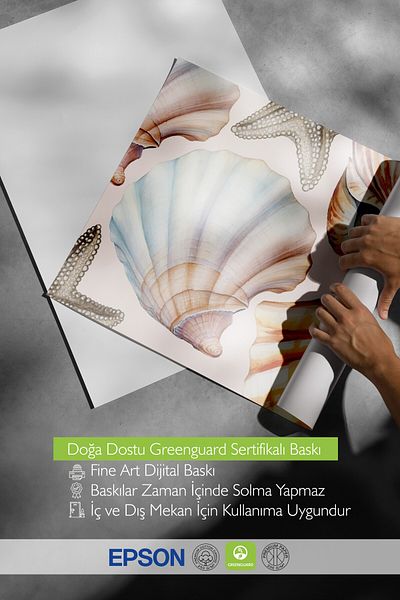Postifull Poster de perete fără încadrare, scoici, stea de mare, acuarelă, bej, poster de culoare în tonuri pastel,