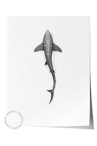 Postifull Frameless Wall Poster, Long Whale, Illustration, Gray Color Poster, 2025 Summer Selection, No:109610