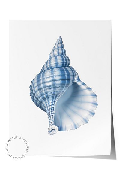 Postifull Frameless Wall Poster, Blue Seashell, Illustration, Blue Color Poster, 2025 Summer Selection, No:10