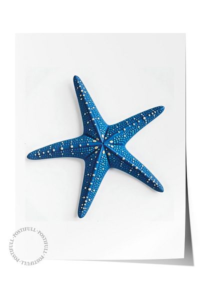 Postifull Frameless Wall Poster, Starfish, Illustration, Blue Color Poster, 2025 Summer Selection, No:109730