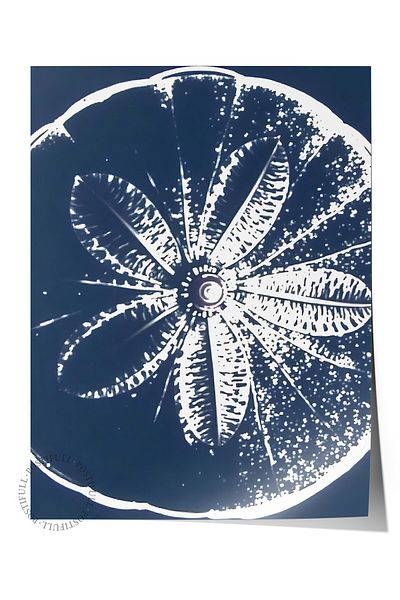 Postifull Frameless Wall Poster, Orange Print, Illustration, Blue Color Poster, 2025 Summer Selection, No:109740