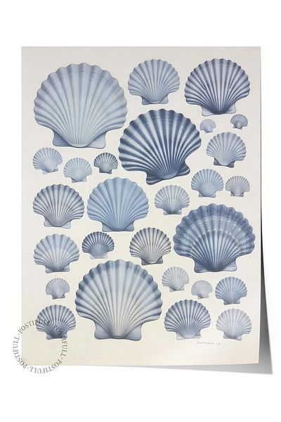 Postifull Frameless Wall Poster, Seashells, Illustration, Blue Color Poster, 2025 Summer Selection, No:1096